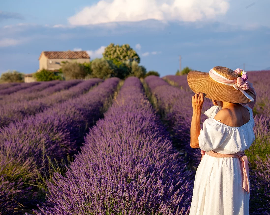 Séjours et vacances à la ferme « aux goûts et senteurs de Provence »