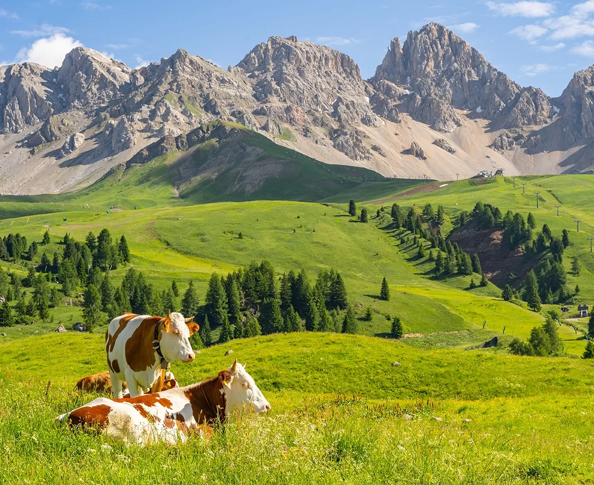 Séjours et vacances dans nos fermes « de montagne »